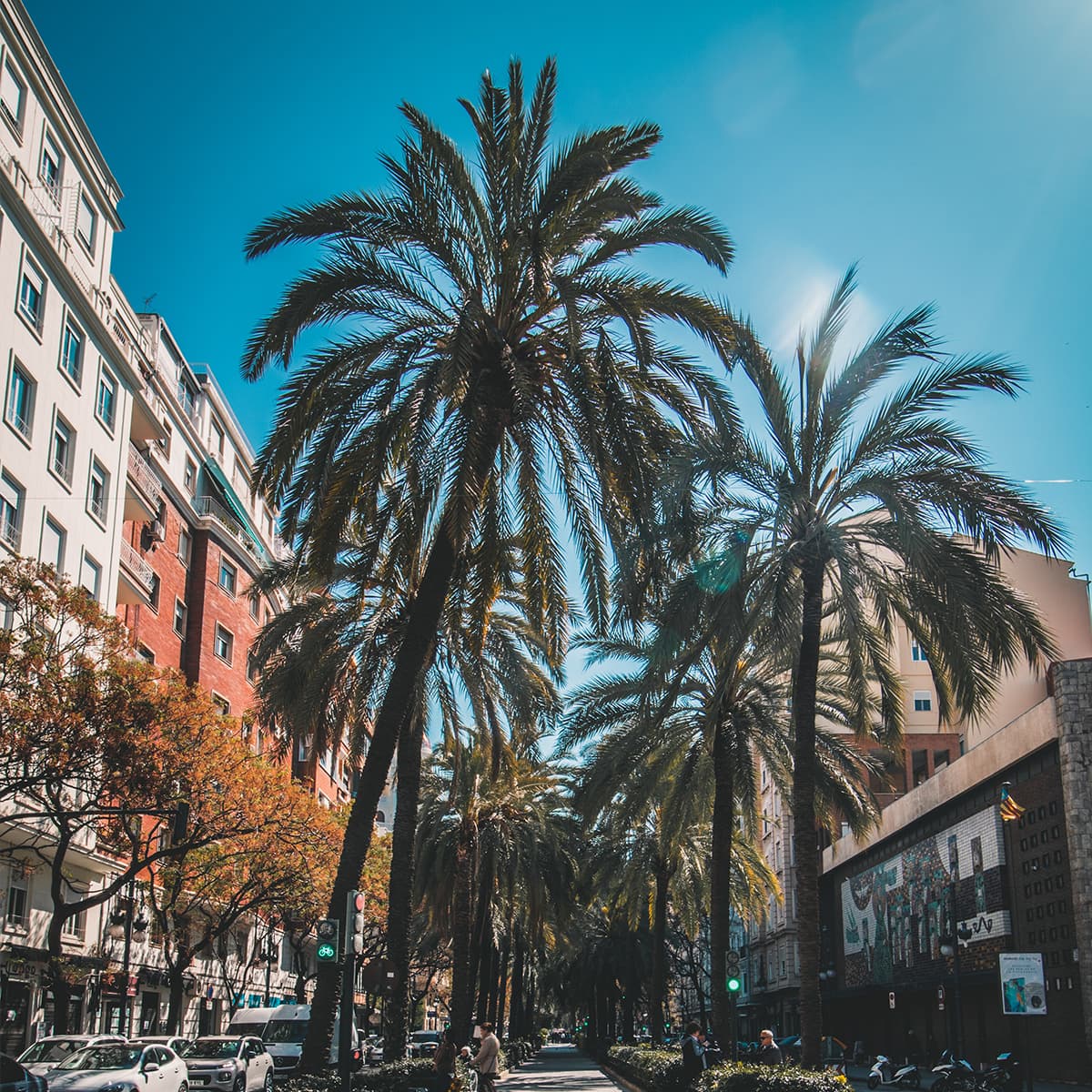 appartement-valence Sunshine on the palm trees of Valencia's square