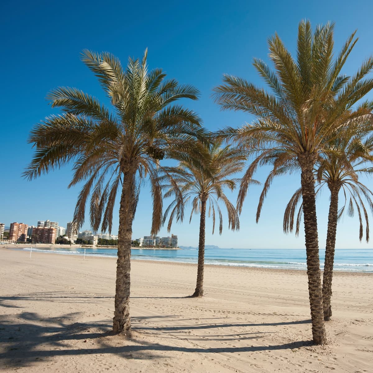 plage-de-valencia Beach of the city of Valencia