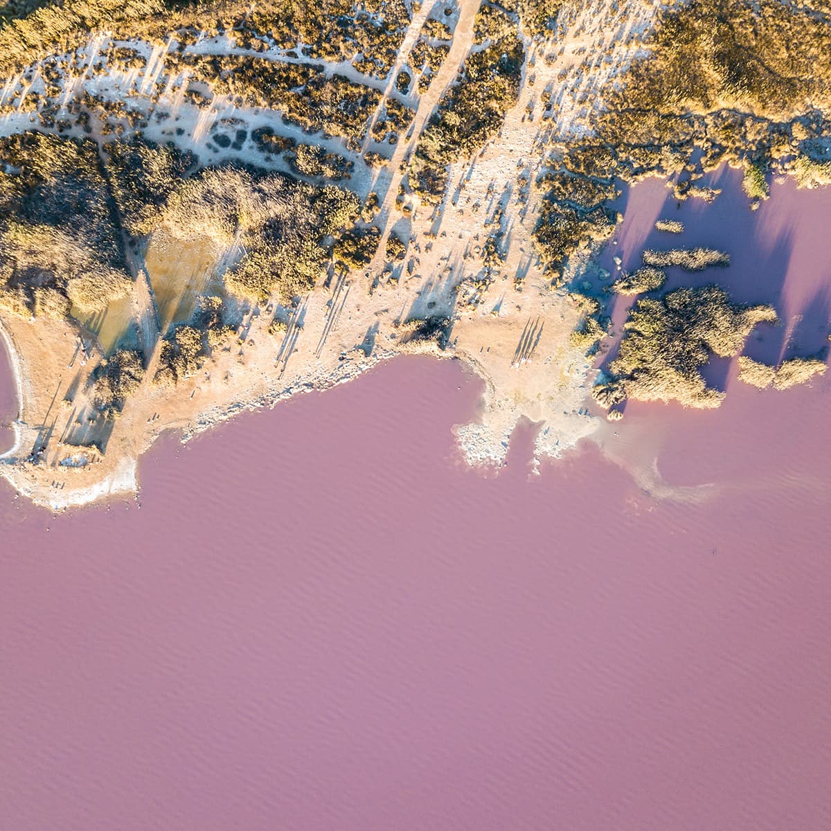 TORREVIEJA 12 The pink salt marshes of Torrevieja