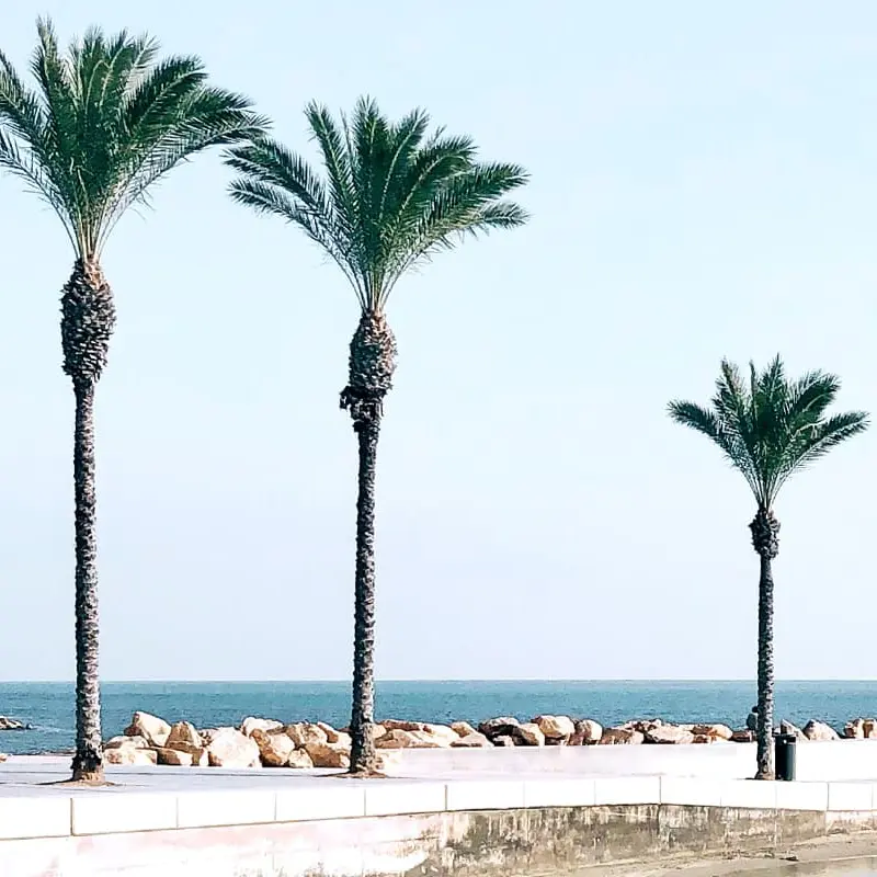 Torrevieja beach