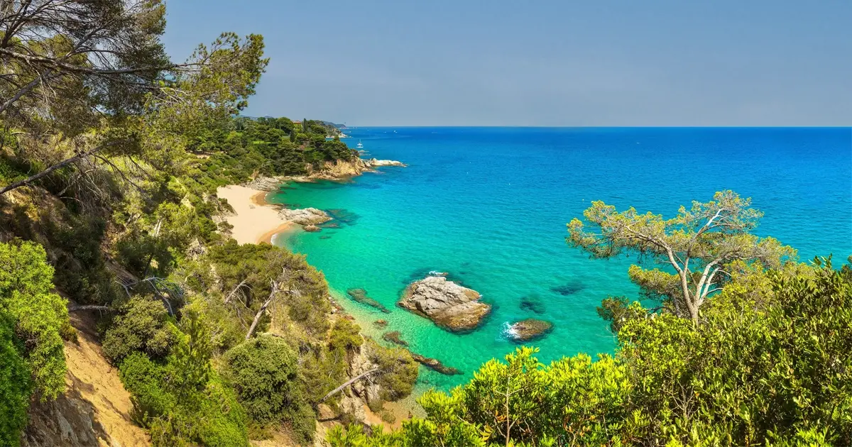 Beautiful Spanish beach with crystal-clear sea, sandy shore, and dense pine trees on the cliffs